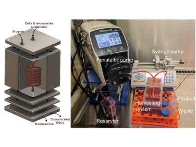3D-printed System Could Lower Cost of Stem Cell Production