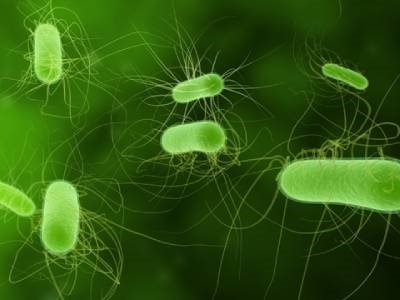 Biosensors Pave Way for Large-scale Biosynthesis of Drug Compounds