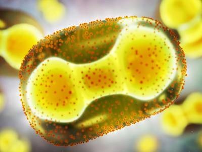 Monkeypox Virus Synthetic DNA Controls Available from Twist Bioscience