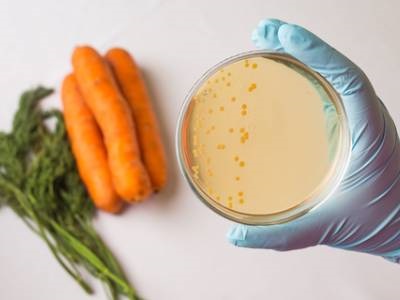 LABTips: Overcoming Food Microbial Testing Challenges