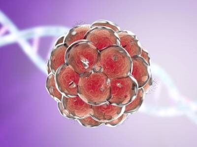 Same-day Genetic Test Could Help Identify Causes of Miscarriage, Aid IVF