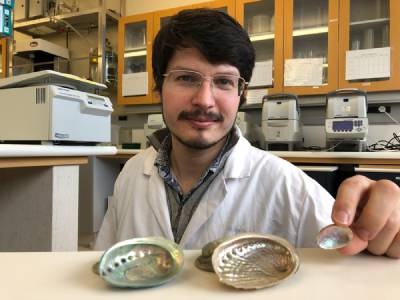 Extraction Method Greatly Improves DNA Yield from Dried Mollusk Shells