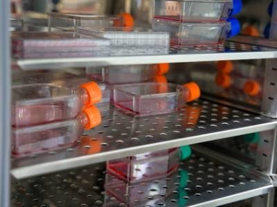 Tech Compare: CO2 Incubator Decontamination Systems