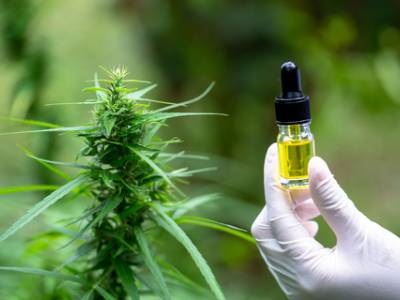 Researchers Awarded $7.4M to Study CBD, Medical Cannabis for Veterans’ Chronic Pain