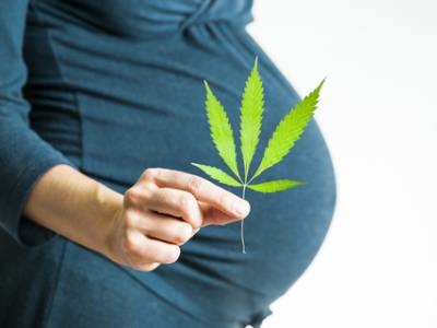 Mental Health Problems Linked to Prenatal Cannabis Exposure Persist into Adolescence