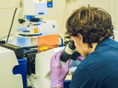 LABTips: How to Select a Tissue Clearing Method