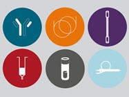 Your digital guide to Thermo Scientific chromatography columns and consumables