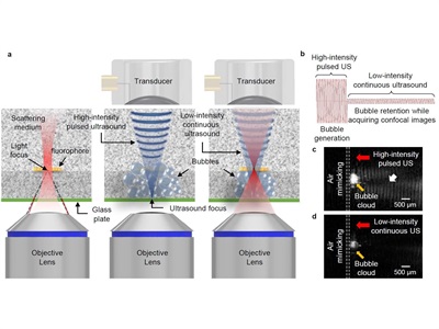 Ultrasound-induced Optical Clearing Increases Imaging Depth 6 Times