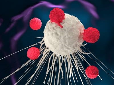 Collaboration to Leverage Super-resolution Microscopy for CAR-T Research