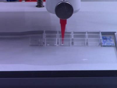 Bioprinting Method Aids Study of Plant Cells