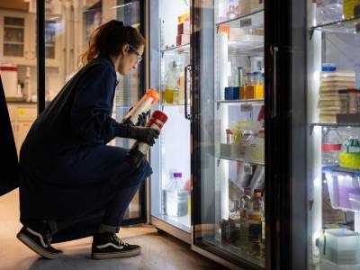 Gas-producing Arctic Microbes Offer Climate Change Clues