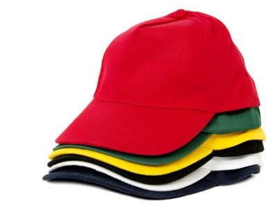 The Many Hats of a Biologist