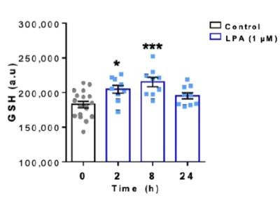 A Luminescent-based Assay for Quantification of Glutathione (GSH) in Cells
