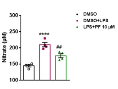 Efficient and Fast Detection of NO Levels