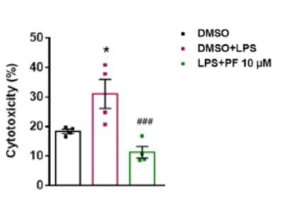 Evaluation of Microglial Cytotoxicity