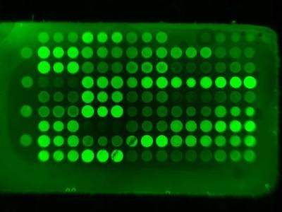 Great Product for Lectin Array