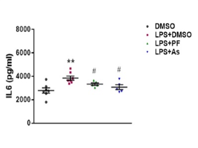 Evaluation of IL6 Levels in Mouse Serum