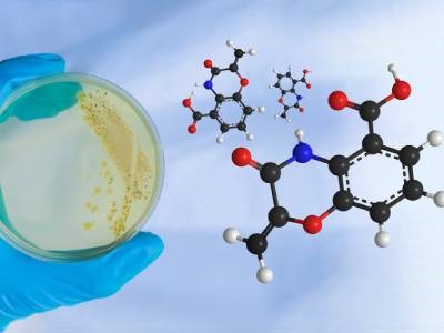 Genome Mining Reveals Widespread Natural Production of Valuable Drug Candidates