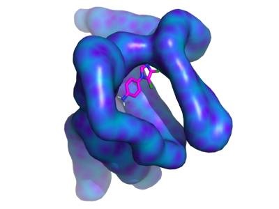 592213.jpg