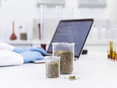  9 Federal Rules You Must Know Before Setting up a Hemp Testing Lab