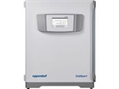 Good CO2 Incubator for Cell Culture Studies