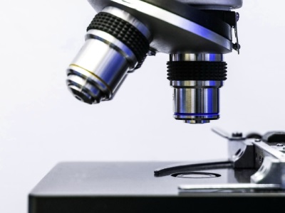 BOB Open-Design Upright Microscope