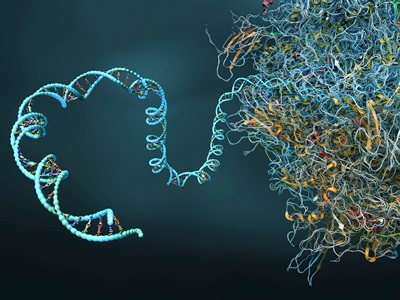 Orthogonal Validation: A Multifaceted Approach to Robust Gene Function Data Generation