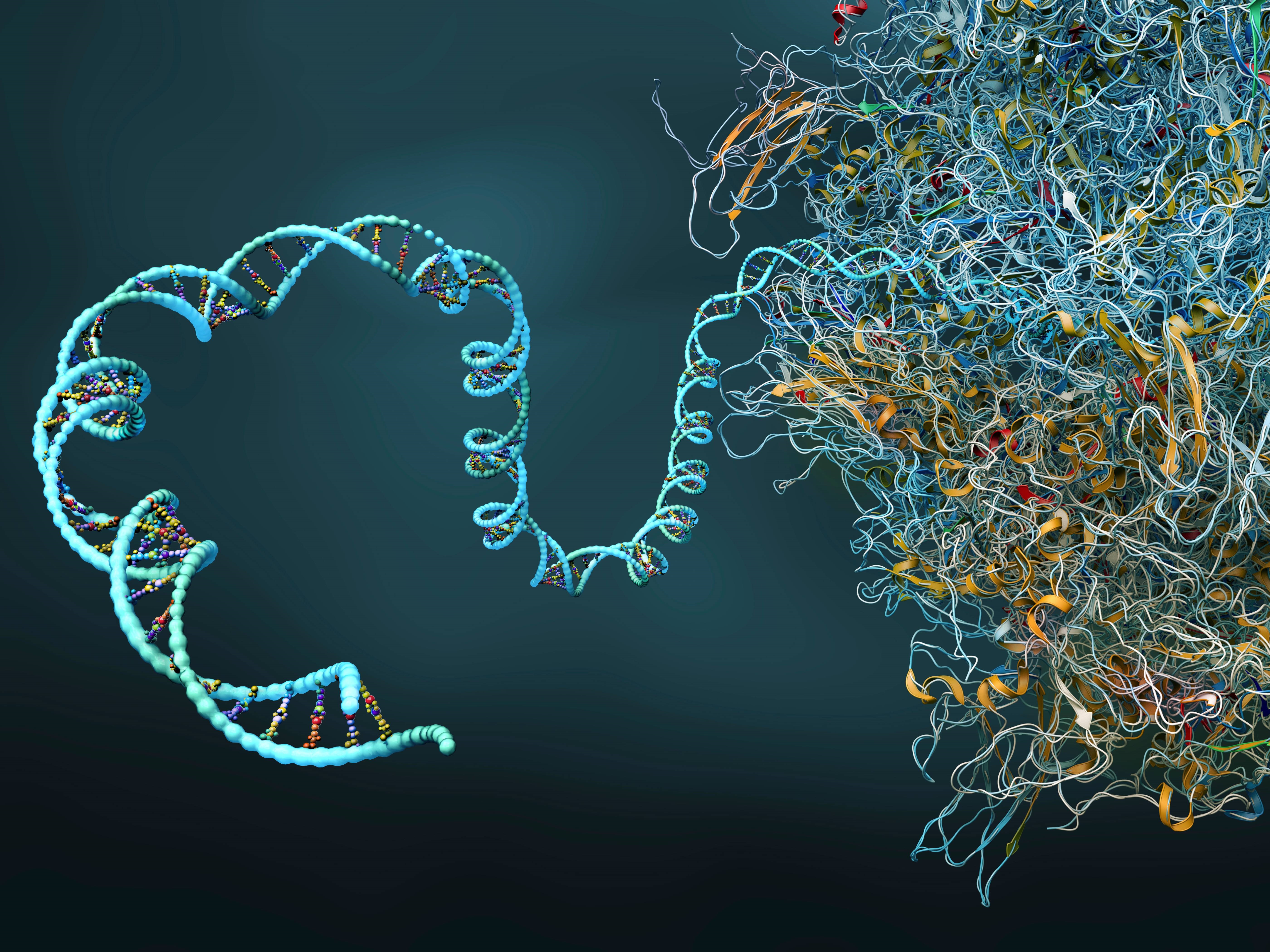  Orthogonal Validation: A Multifaceted Approach to Robust Gene Function Data Generation