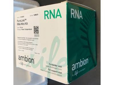 Excellent RNA Extraction Kit