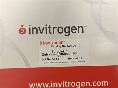 Excellent Gel Purification Protocol