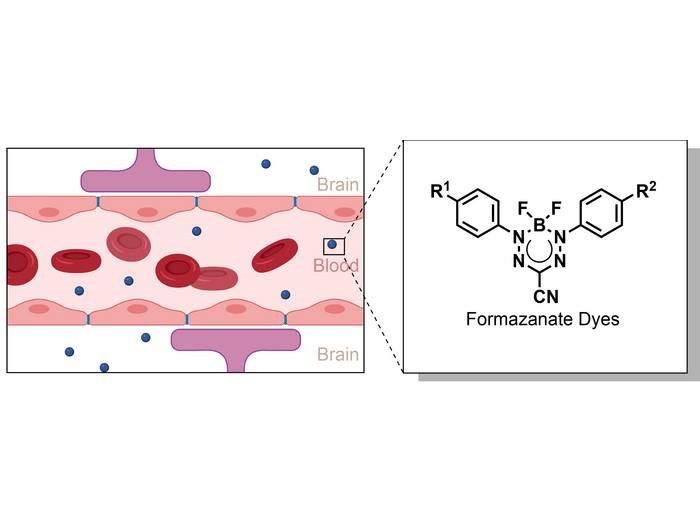 New NIRII Fluorescent Dye Can Cross Bloodbrain Barrier