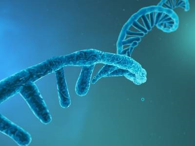 New Computational Tool Overcomes Errors in Long-read RNA Sequencing