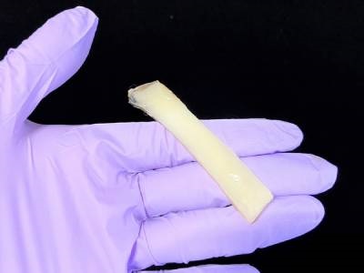 Tough, Versatile Hydrogels Made from Squid Tissue and Polymer