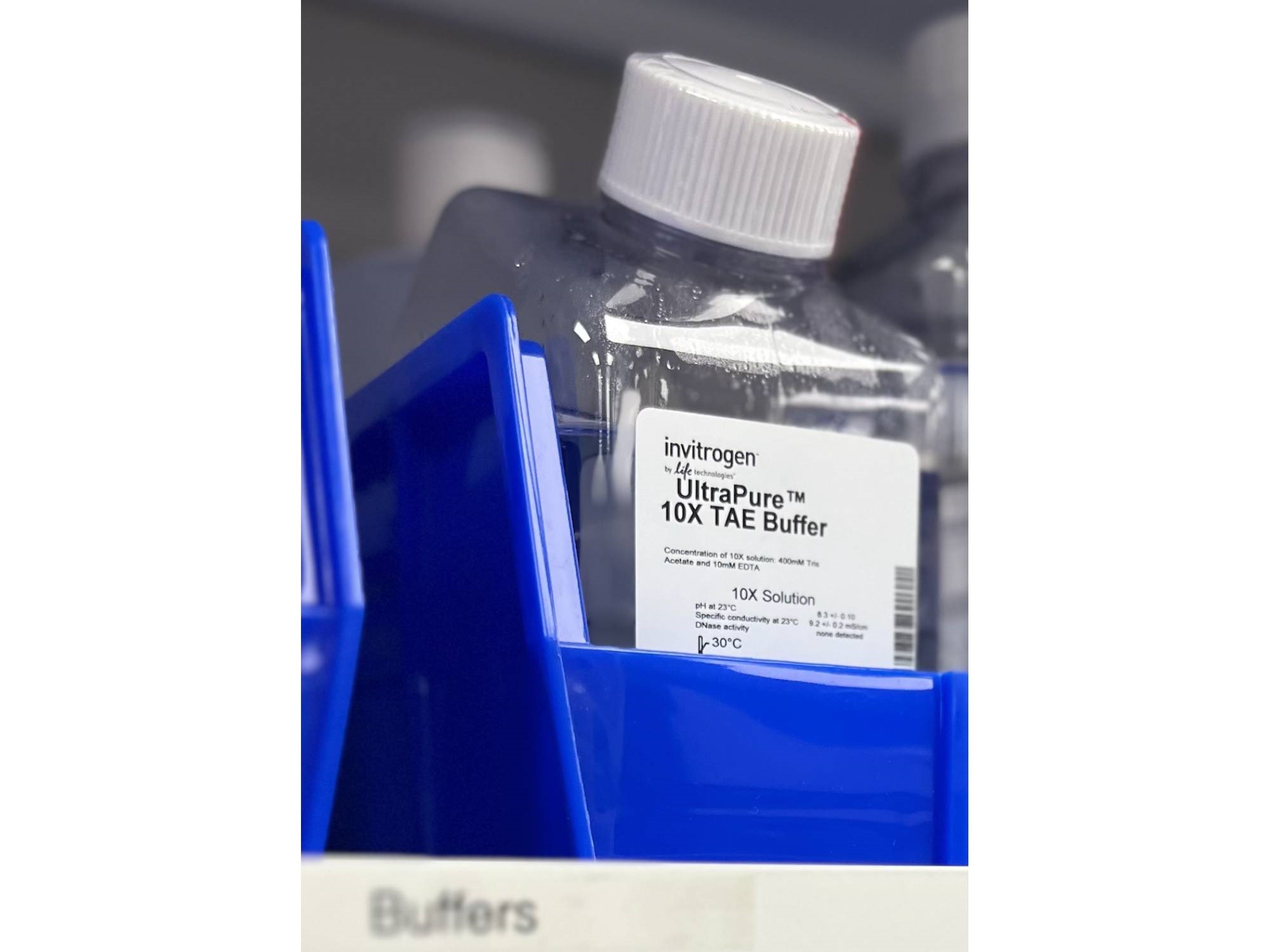  Product Review. Readytouse Buffer for Electrophoresis