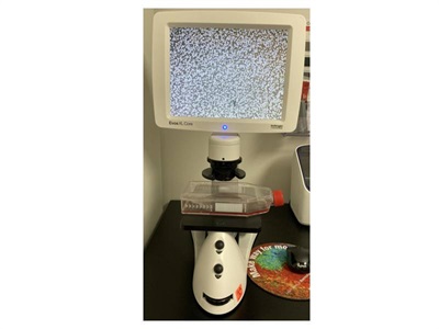 Digital Microscope for Cell Culture
