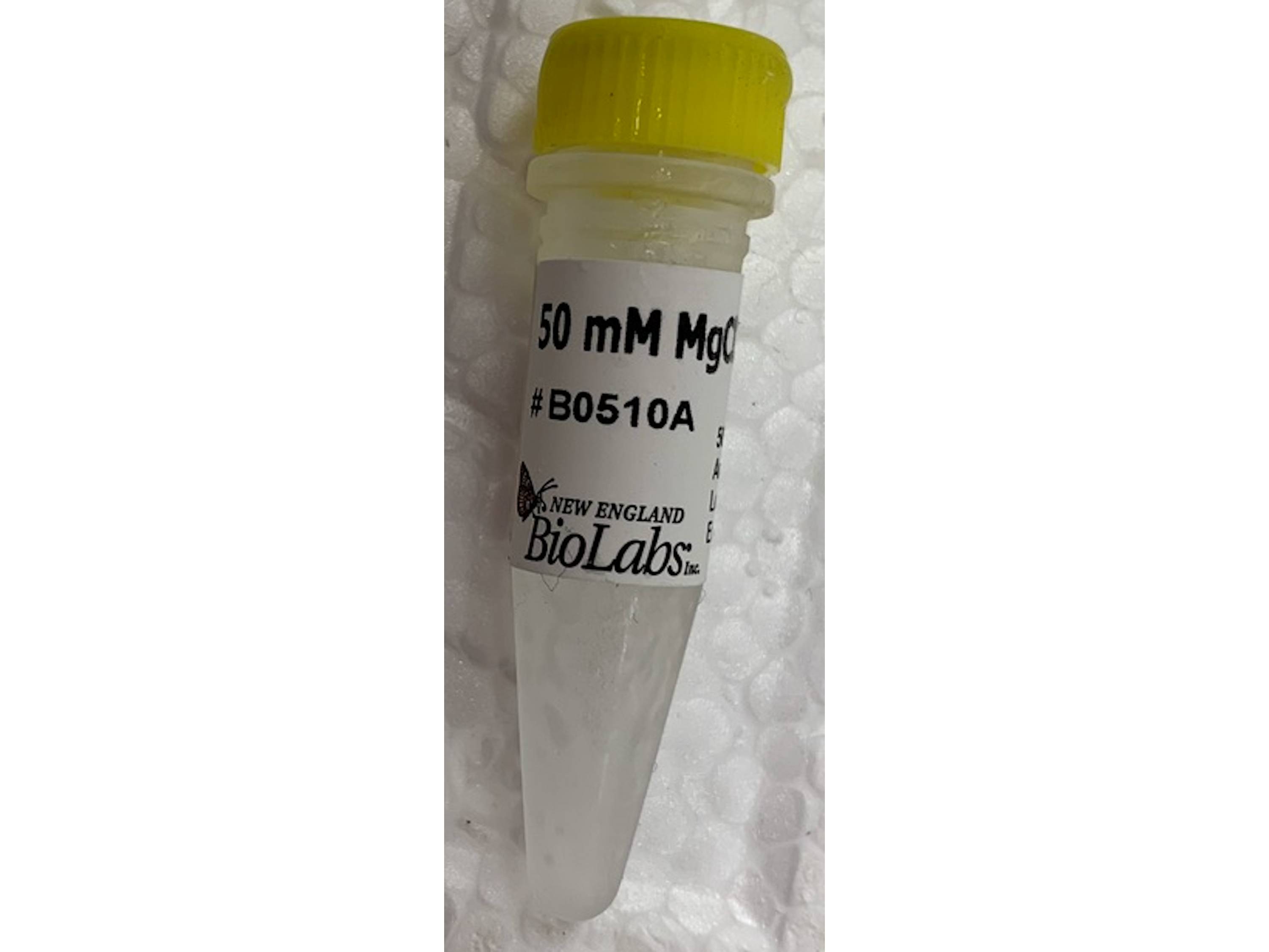  Product Review. A Buffer for PCR Environment