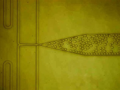 Novel Nanoparticles Could Reduce Costs of Protein Purification