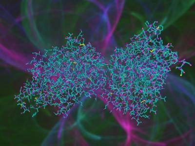 Leveraging Glycobiology for Biomarker Discovery