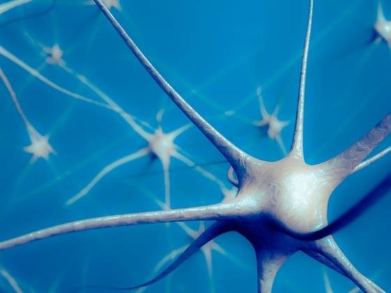 Researchers Design Peptides That Could Prevent Neuron Death in ALS, Dementia