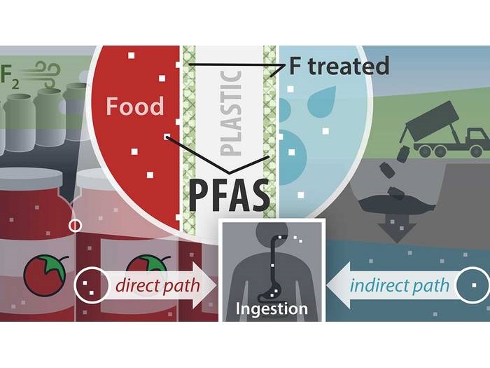 Study Shows PFAS Can Leach from Plastic into Food