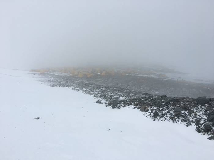 595278.jpg