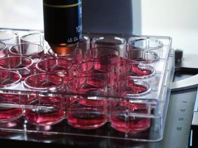 LABTips: Preventing Cell Line Misidentification