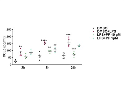 Detection of CCL5 Secretion from Activated Microglia