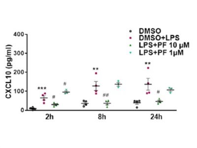 Efficient Analysis of Secreted CXCL10 from Murine Microglia