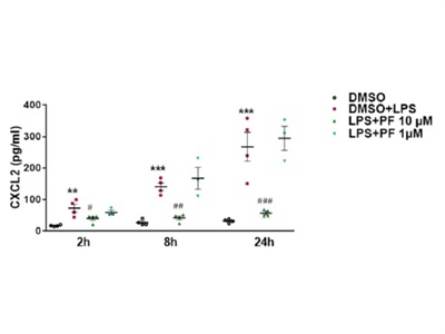 Detection of Secreted CXCL2 from LPS Treated Microglia Cells