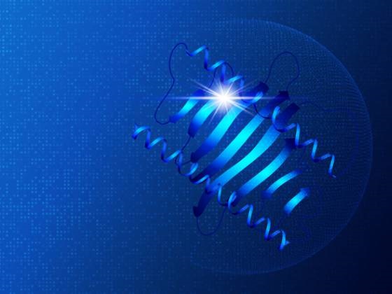  Overcoming Challenges and Improving Efficiency in Protein Purification