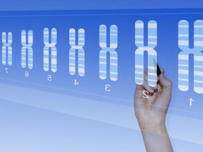Cytogenetic Analysis: Selecting the Appropriate Analysis Method to Optimize Genetic Research