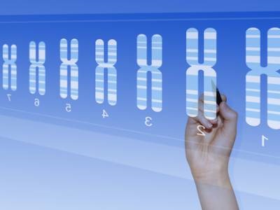  Cytogenetic Analysis: Selecting the Appropriate Analysis Method to Optimize Genetic Research