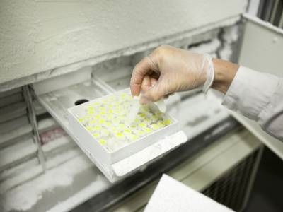The Benefits of a Variety-pack Style ULT Freezer