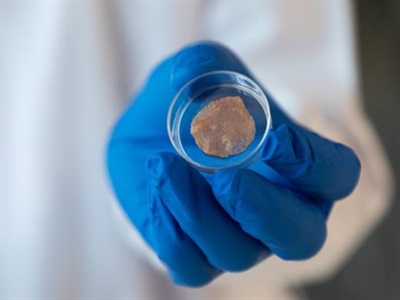 Researchers 3D Print Scaffolds for More Sustainable Lab-grown Meat